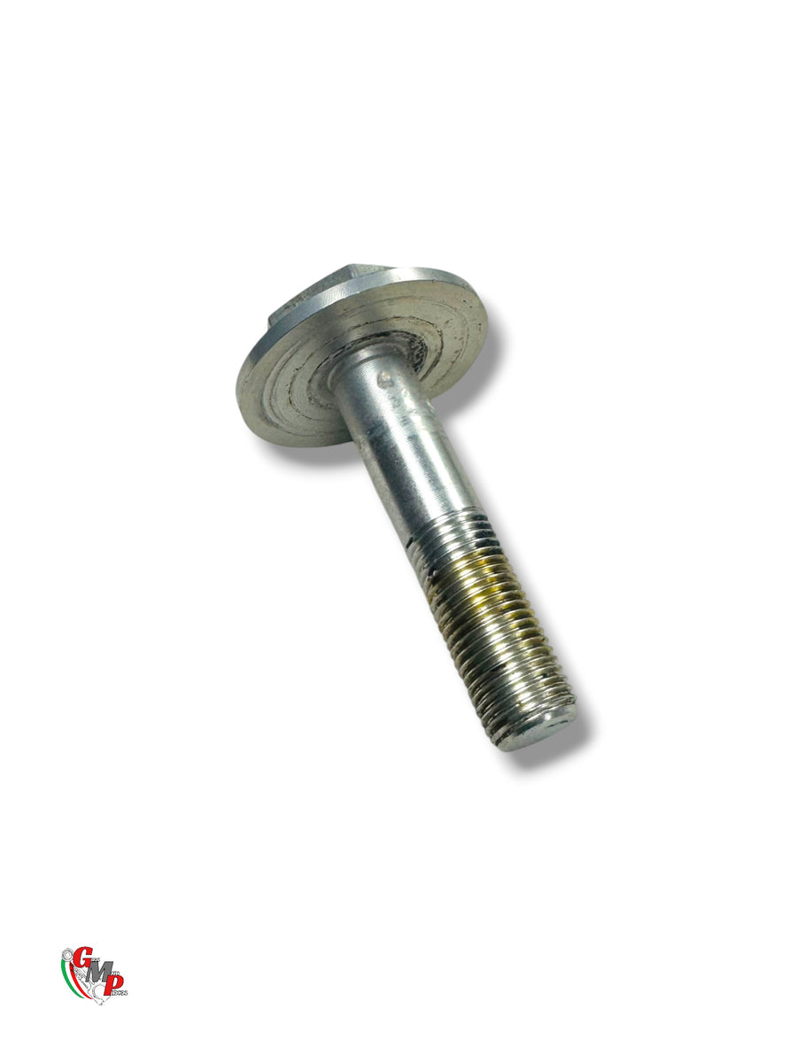 Mounting Screw Plate - Ducati