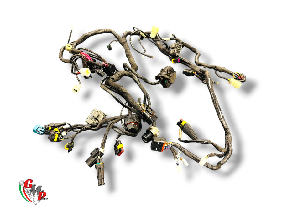 Complete Main Harness - Ducati