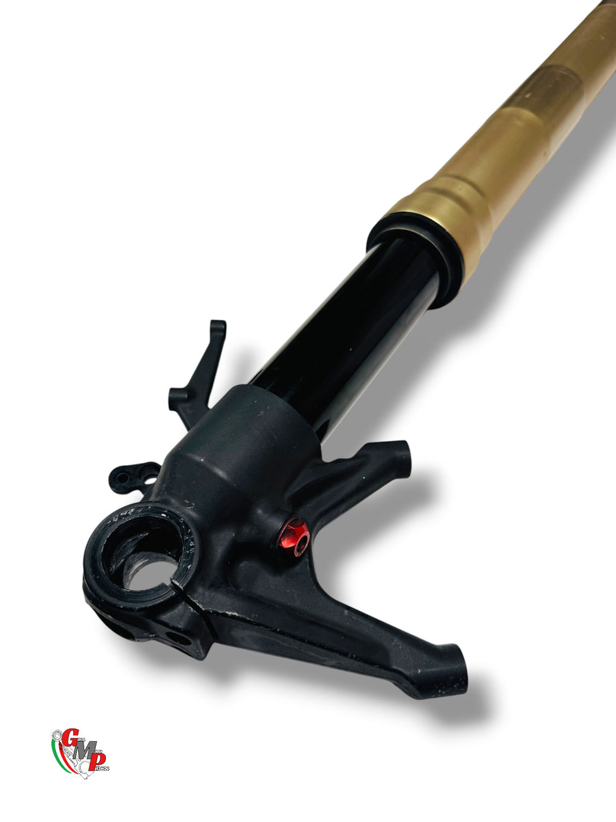 Left Fork Tube Assembly - Ducati