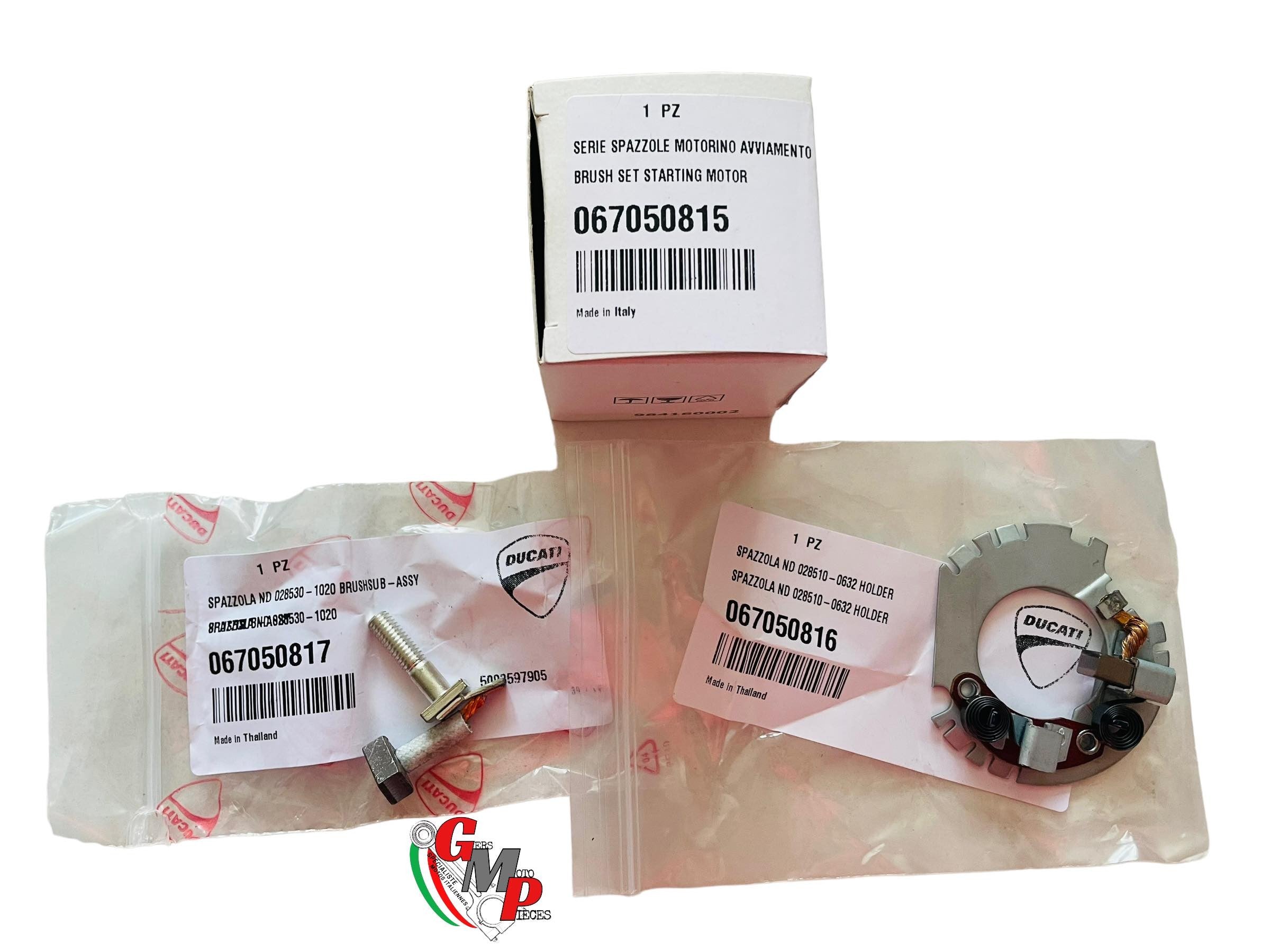 NEW Starter Carbon Plate - Ducati