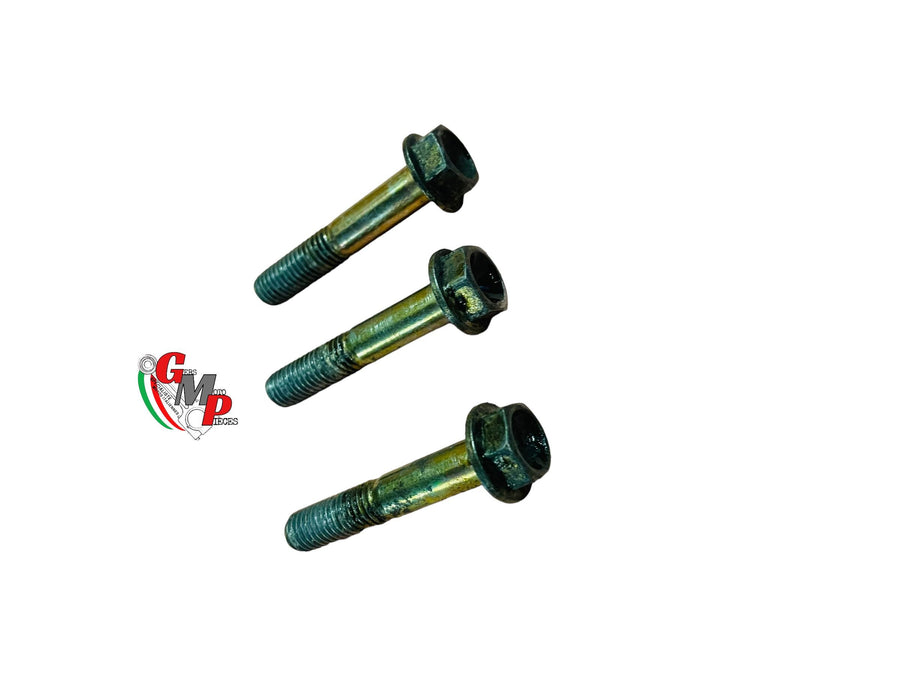Fork Leg Screws - Ducati