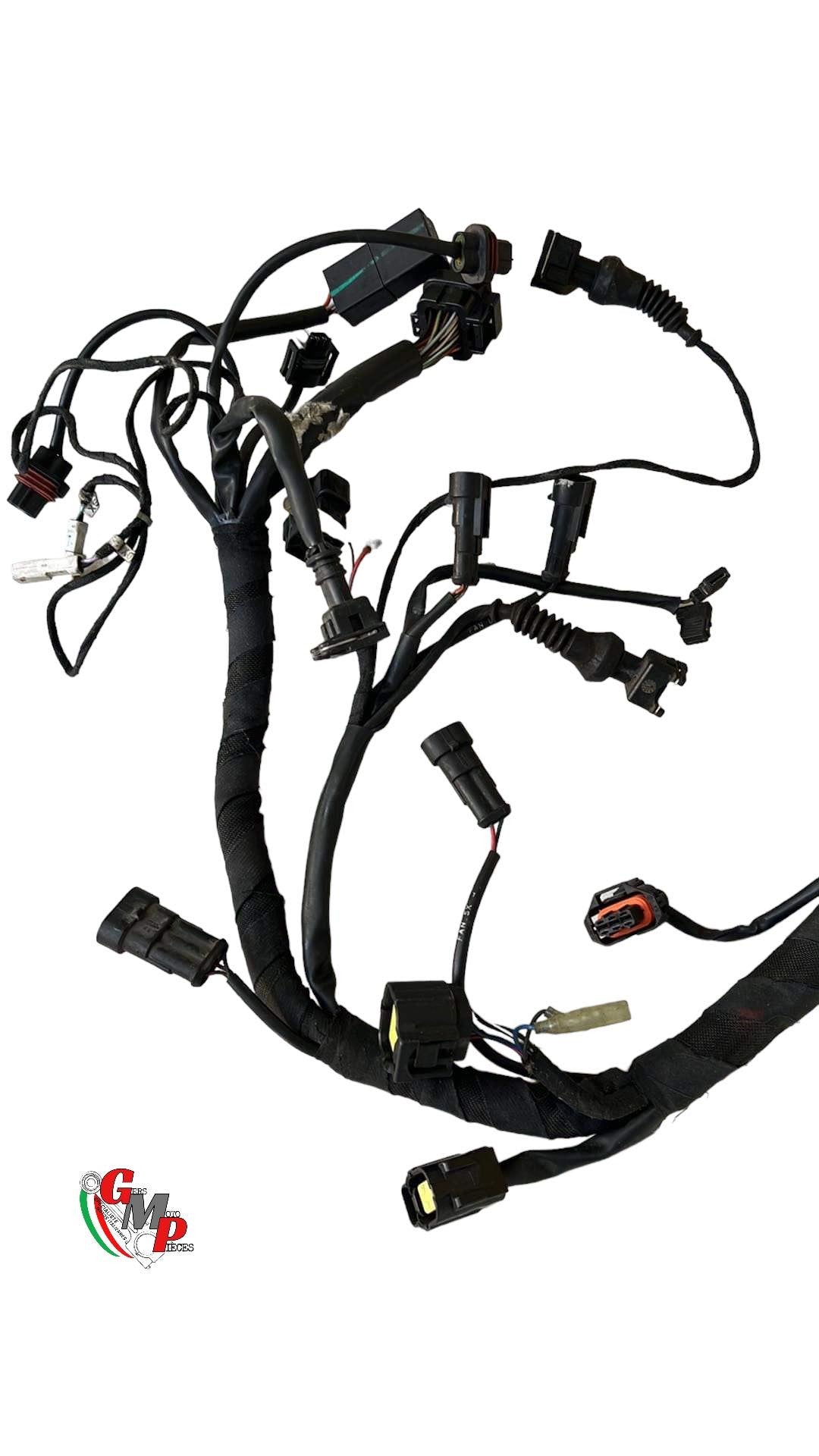 Electrical harness - Ducati