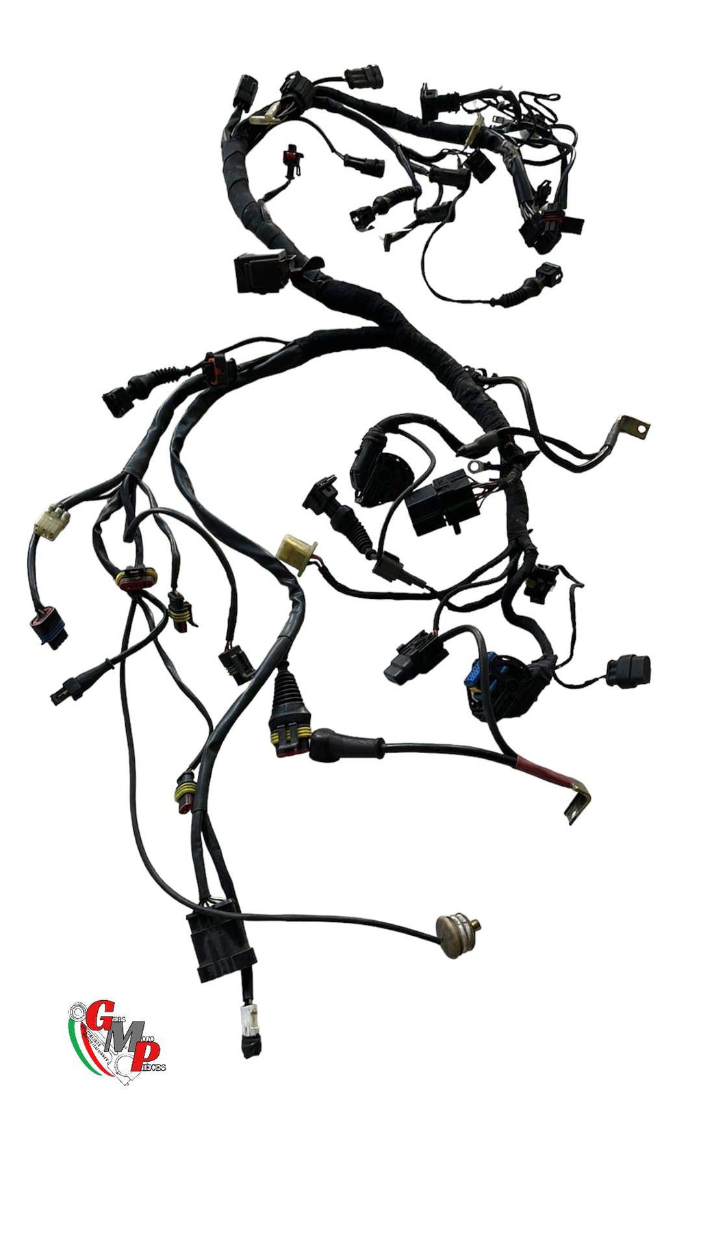 Electrical harness - Ducati