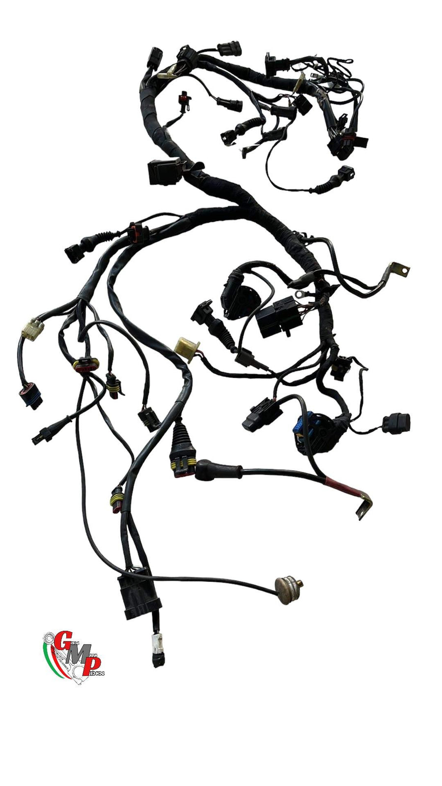 Electrical harness - Ducati