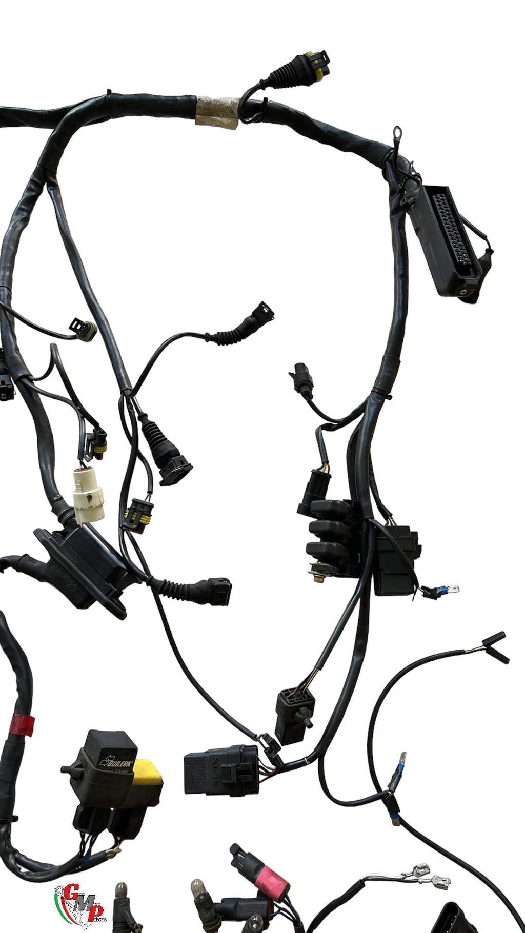 Main Wiring Harness - Ducati
