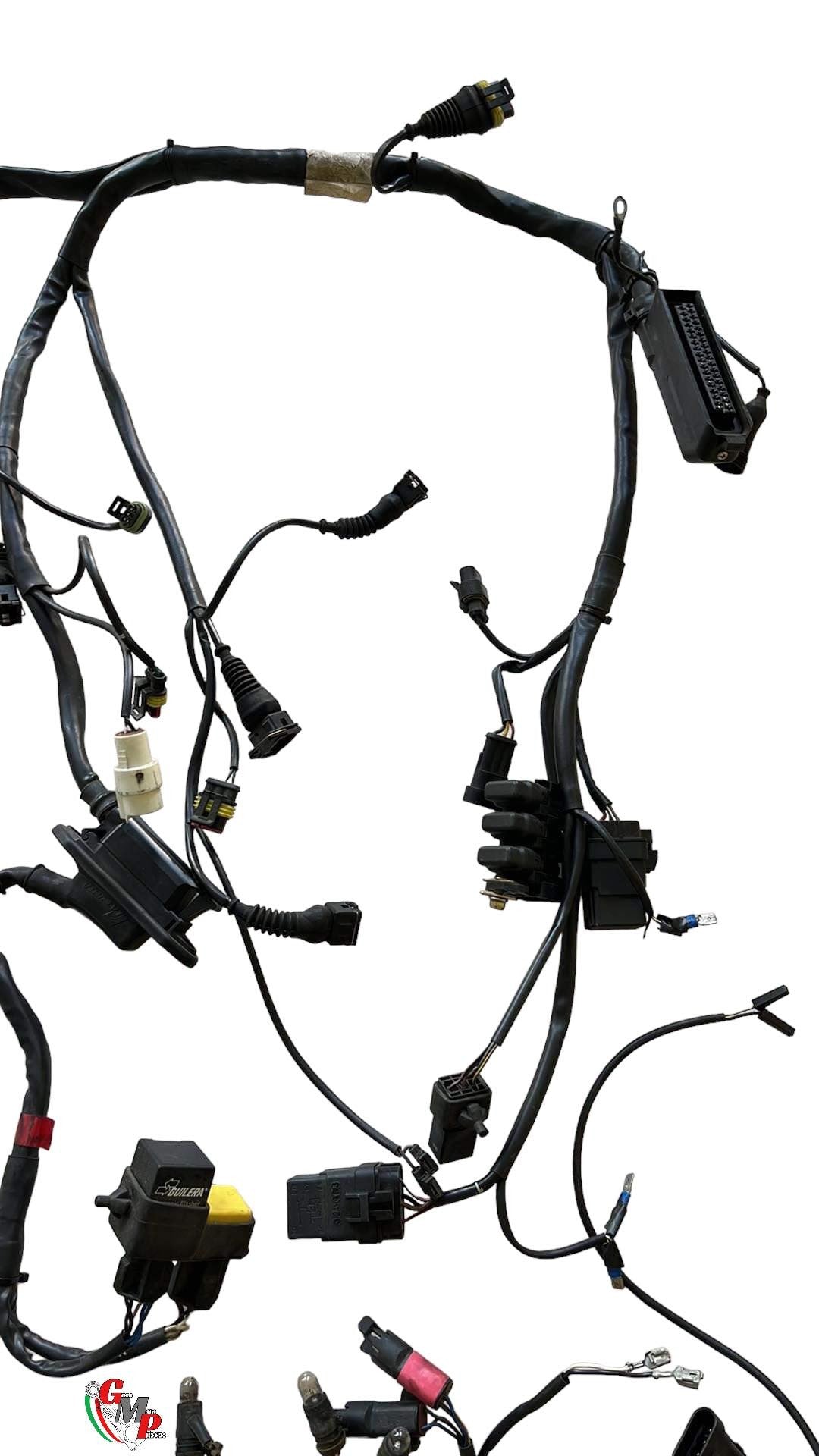 Main Wiring Harness - Ducati