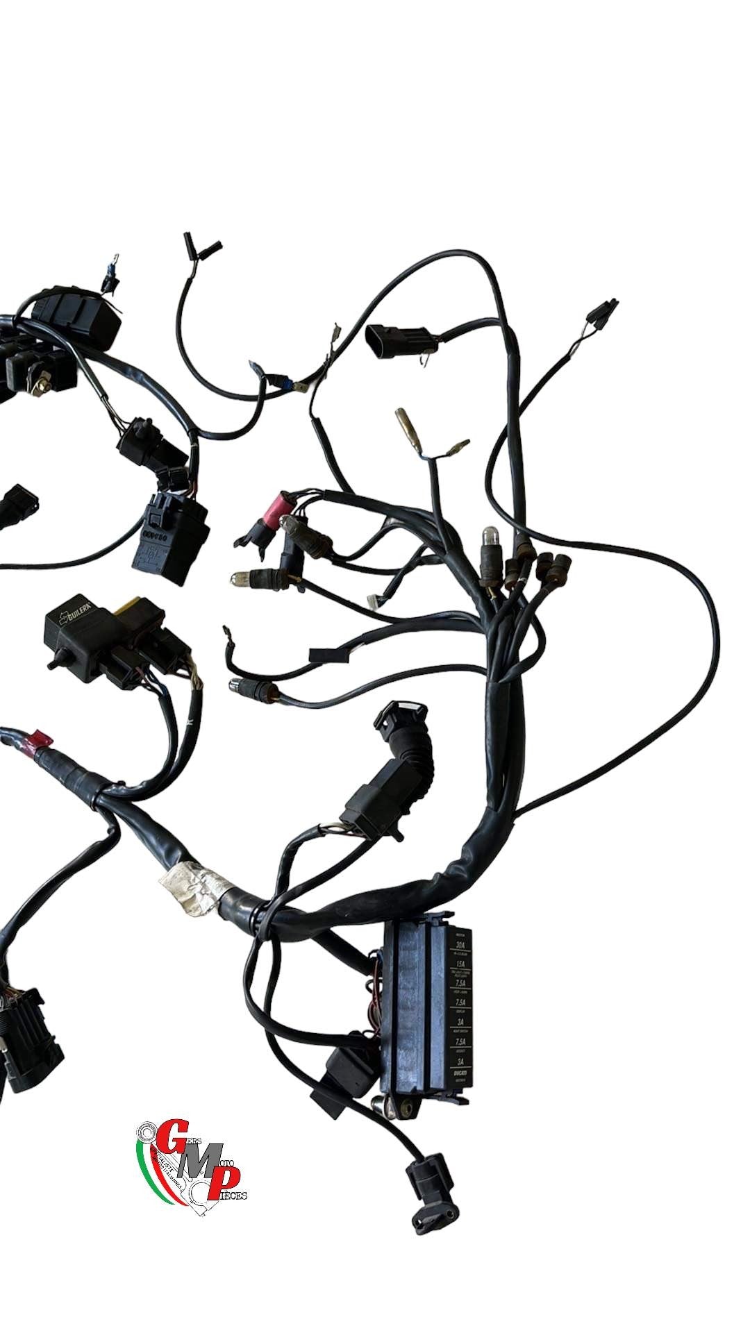 Main Wiring Harness - Ducati