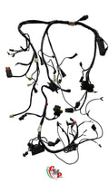 Main Wiring Harness - Ducati