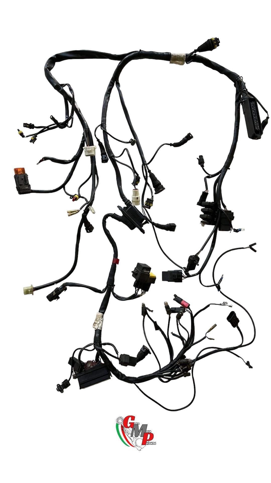 Main Wiring Harness - Ducati