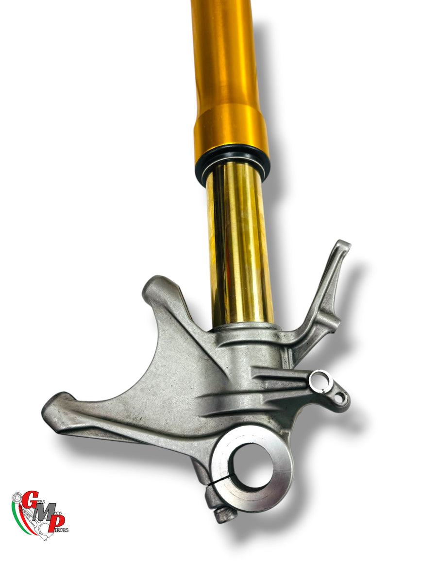 Left Fork Assembly öhlins - Ducati
