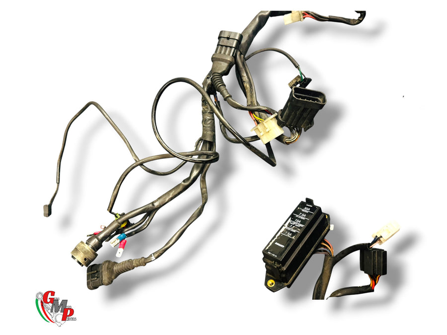 Wiring Harness - Ducati