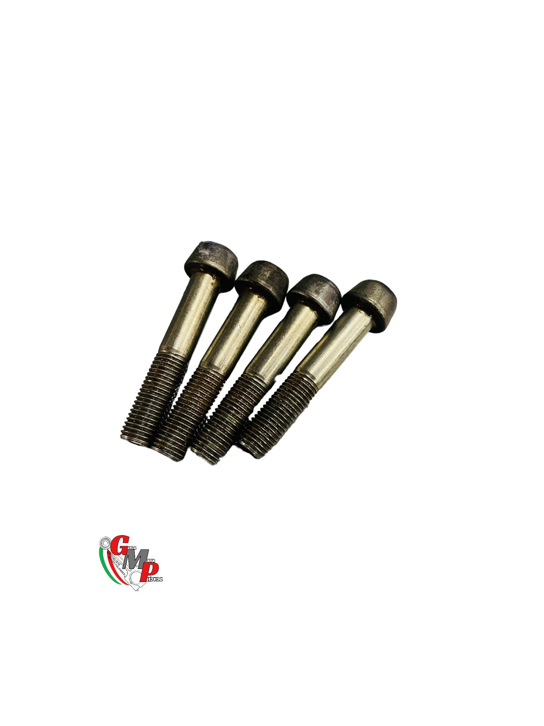 Caliper Screw - Ducati