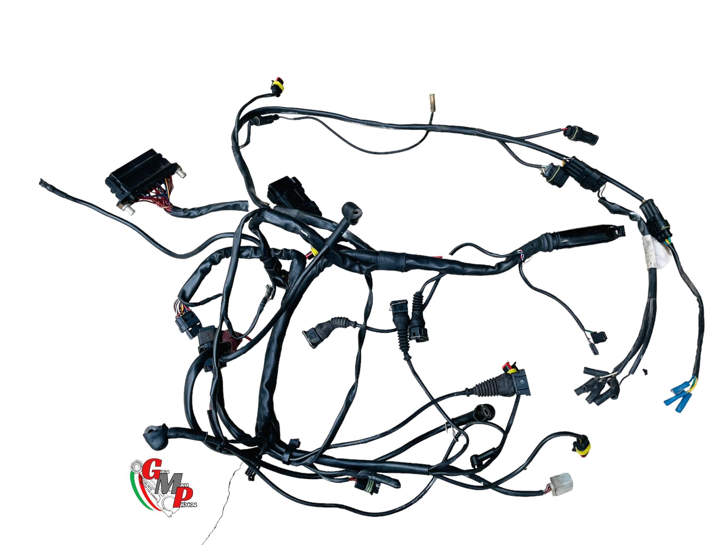 Main Wiring Harness - Ducati
