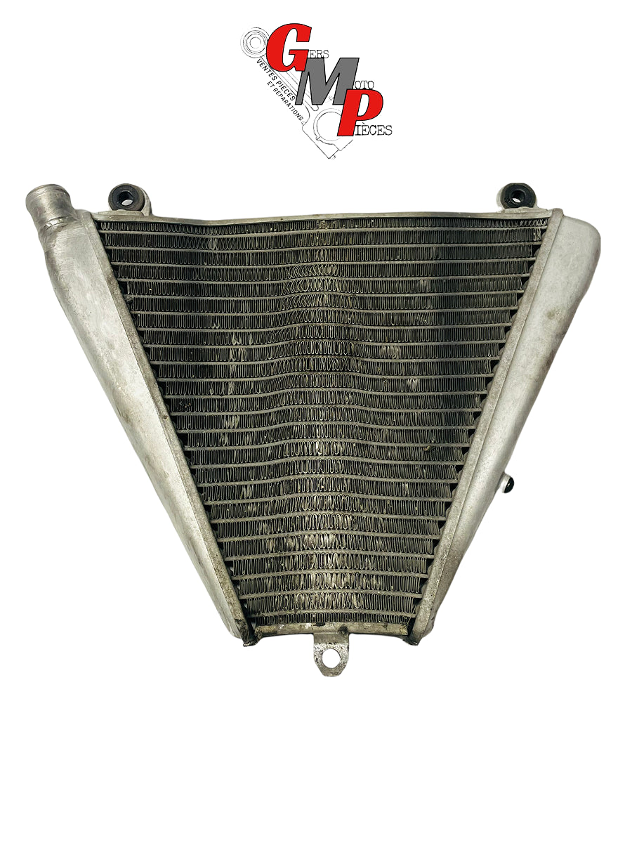 Lower Radiator - Ducati
