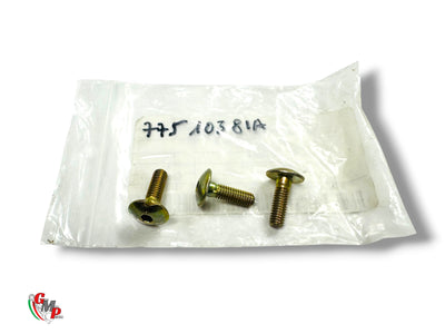 NEW Bichromate Screw - Ducati
