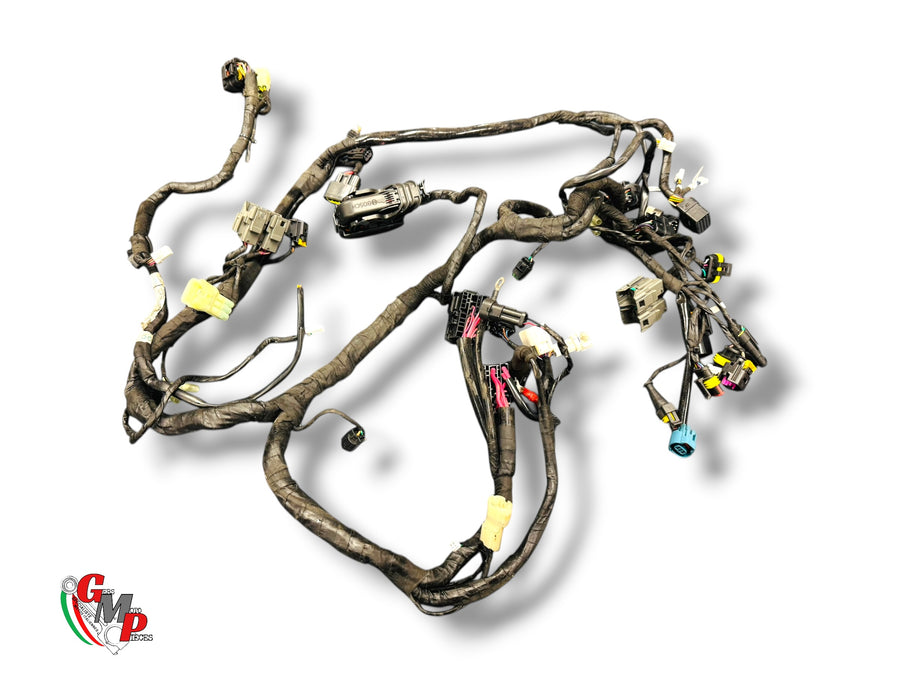 Complete Main Harness - Ducati