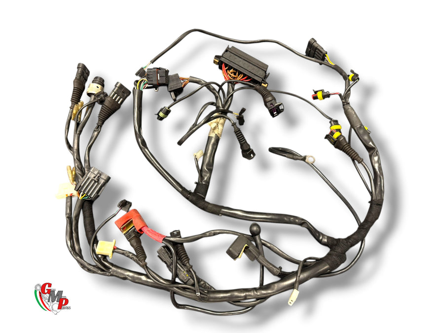 Electrical Harness - Ducati