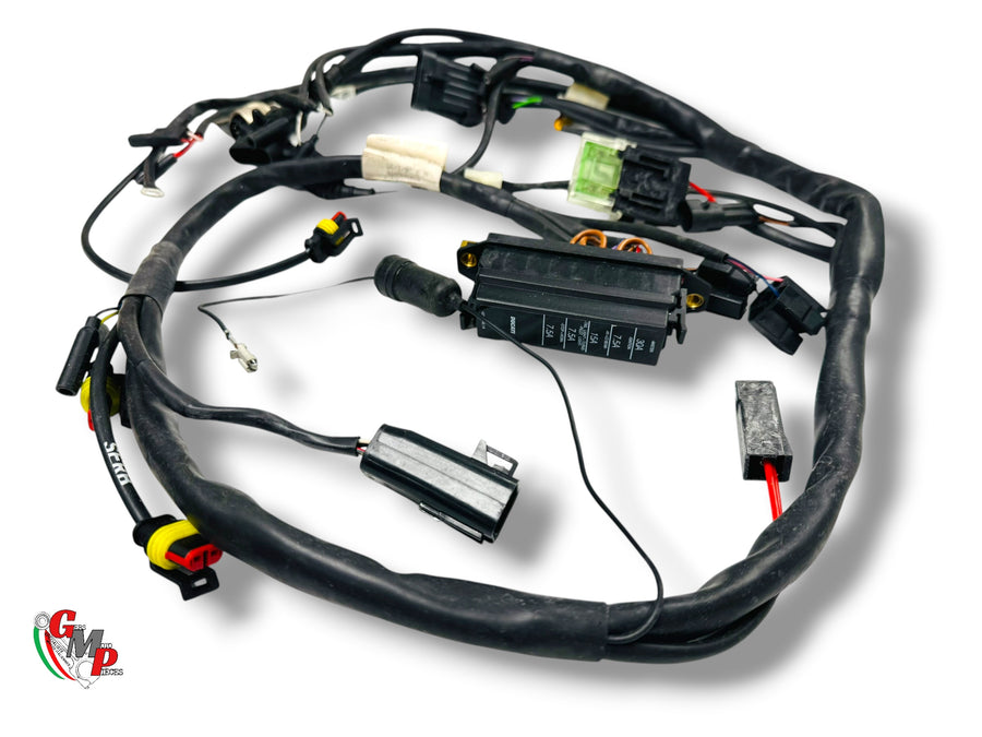 Complete Harness NEW - Ducati