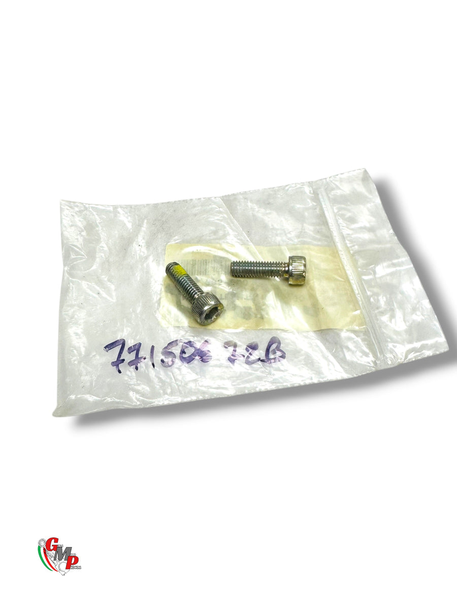 Bichromate Screw NEW - Ducati