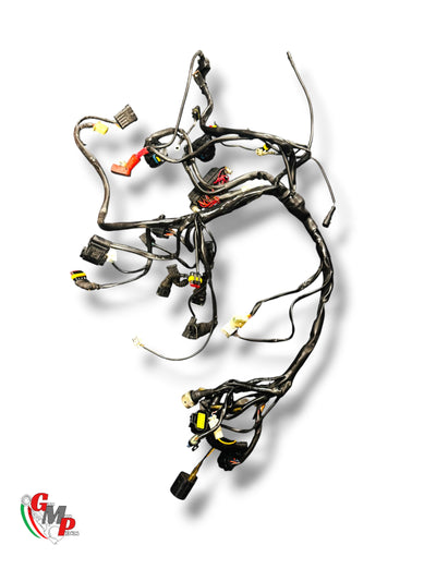 Wire Harness - Ducati