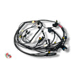 NEW Wire Harness - Ducati