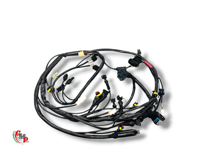 NEW Wire Harness - Ducati