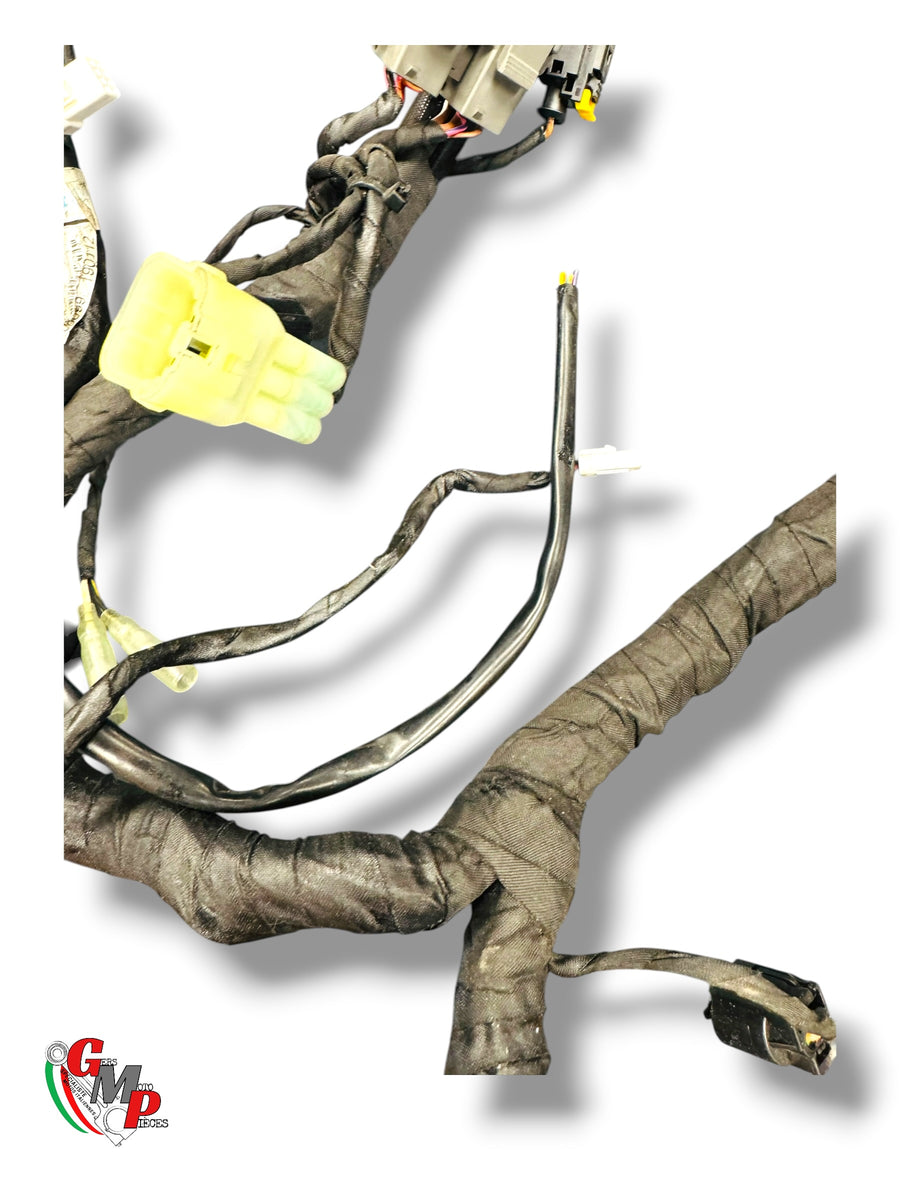 Complete Main Harness - Ducati