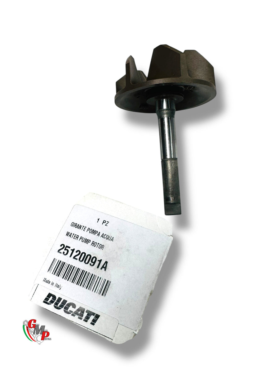 NEW Water Pump Pinion - Ducati