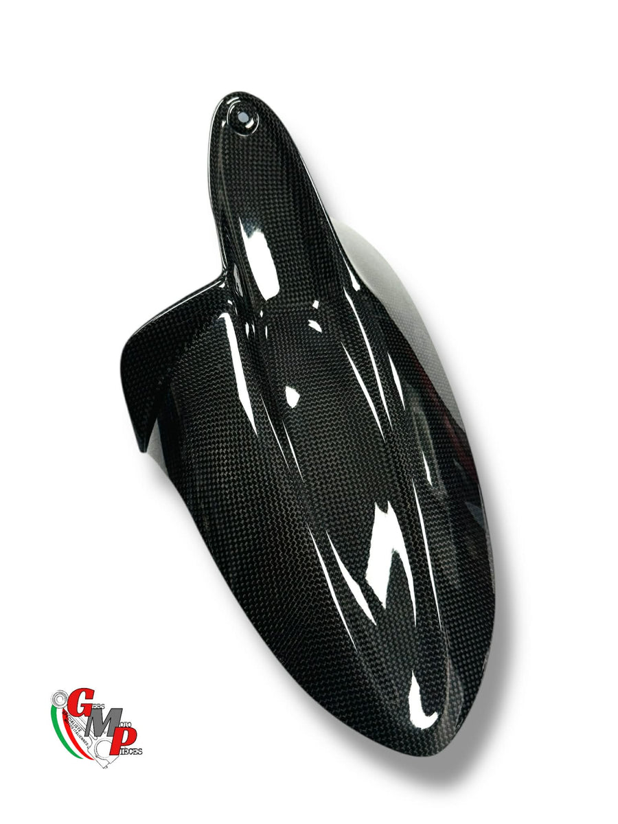 NEW Carbon rear mudguard - Ducati