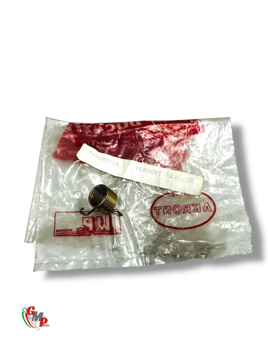 Rear Shell Pivot Spring NEW - Ducati