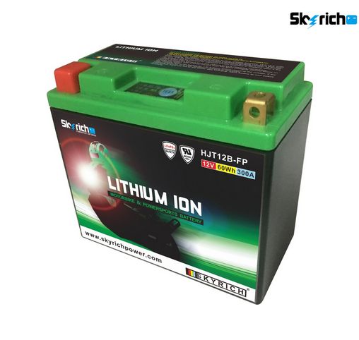NEW battery - YT12B-BS