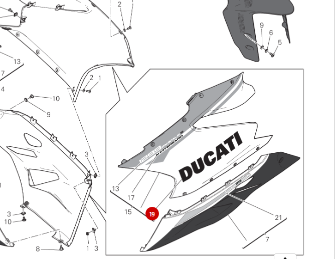 Decal "ducati" G NEW - Ducati