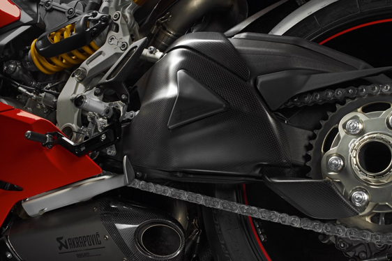 Carbon Swingarm Protector NEW - Ducati Performance