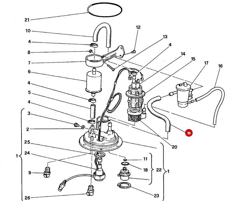 NEW Fuel Hose - Ducati