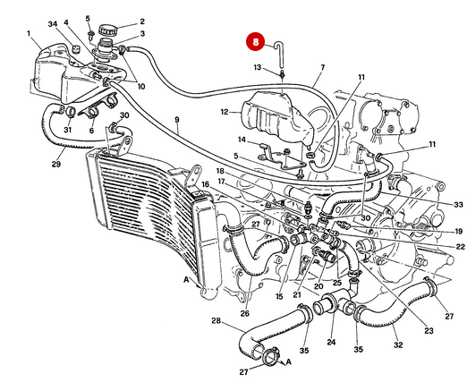 Vent Hose - Ducati