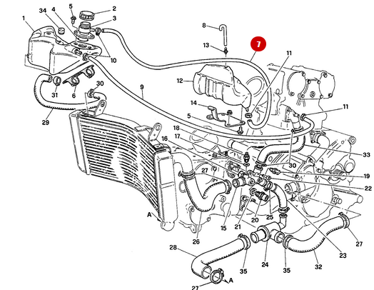 Hose Breather Fitting - Ducati