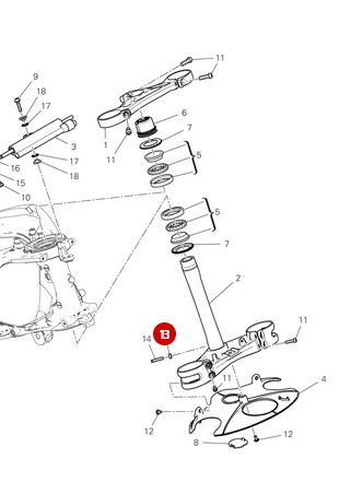 NEW nut - Ducati