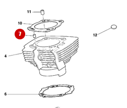 NEW Jet Pin - Ducati