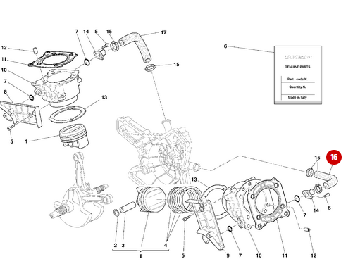 Hose Pipe, Horizontal Cylinder Water Inlet, NEW - Ducati