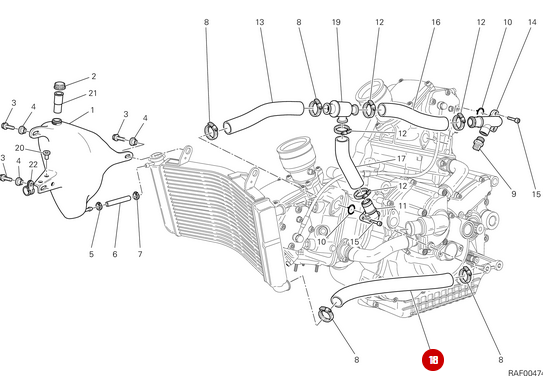 New Radiator Hose - Ducati