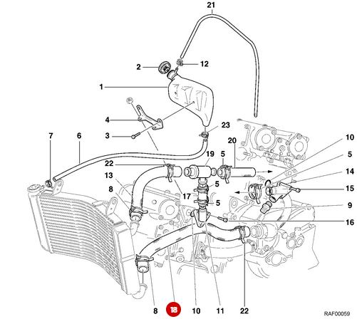NEW Radiator Hose - Ducati