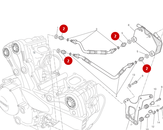 Radiator Hose Fitting M14X1.5 NEW - Ducati