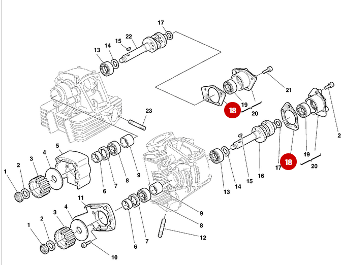 NEW Gasket - Ducati