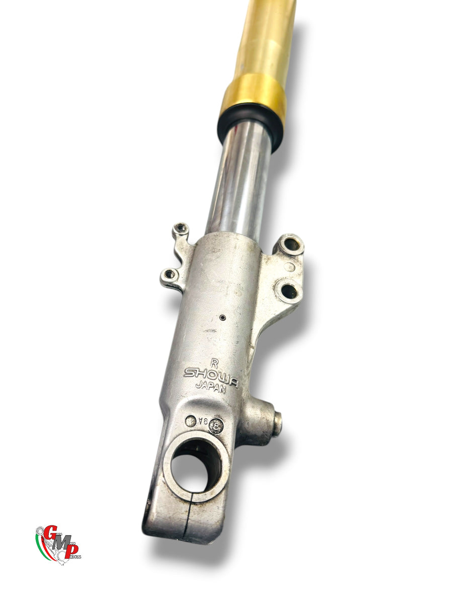 Complete Right Fork - Ducati