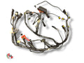 Electrical Harness - Ducati