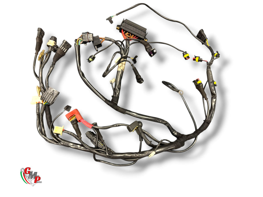 Electrical Harness - Ducati