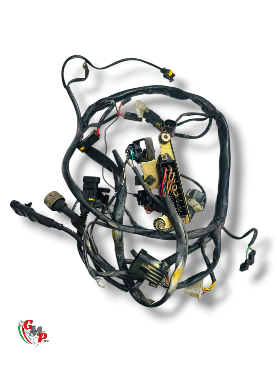 Electrical Harness - Ducati