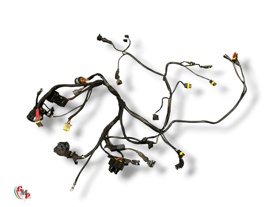 Main Harness - Ducati