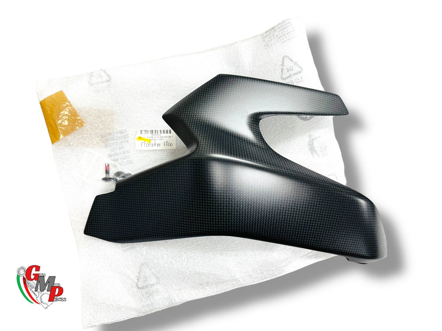 Carbon Swingarm Protector NEW - Ducati Performance