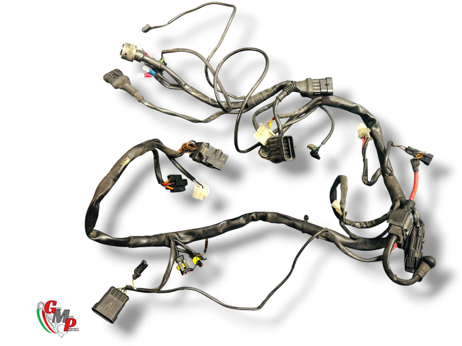 Wiring Harness - Ducati